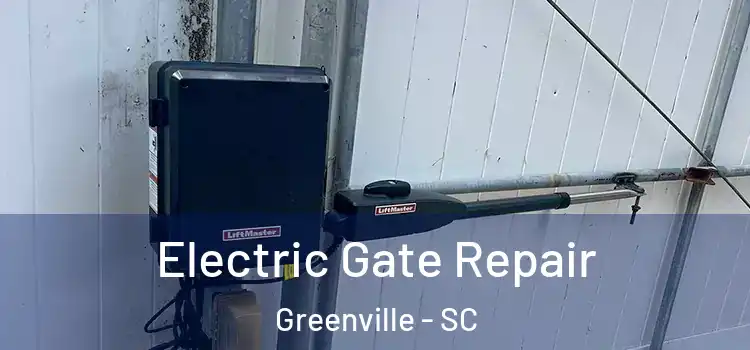 Electric Gate Repair Greenville - SC