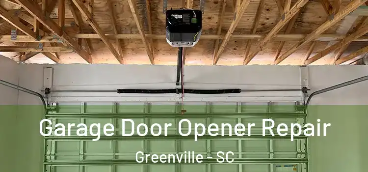  Garage Door Opener Repair Greenville - SC