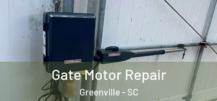 Gate Motor Repair Greenville - SC