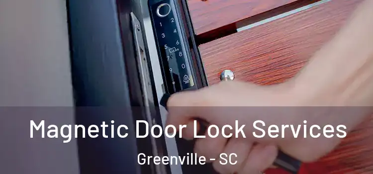 Magnetic Door Lock Services Greenville - SC